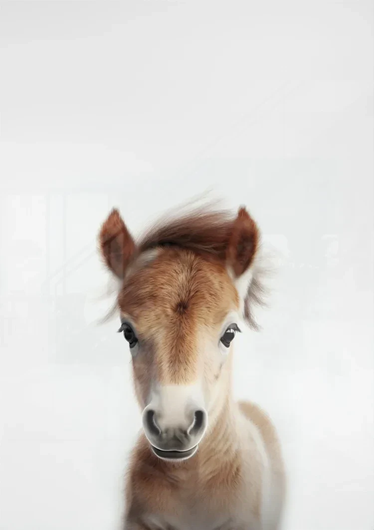 Niedliches Fohlen Braunes Fell Große Augen Weiße Nase Sanftes Porträt Gemälde