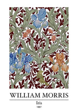 William Morris Iris Bloemen Blauw Rood Oranje Groen Botanisch Klassiek Kunst Canvas Schilderij