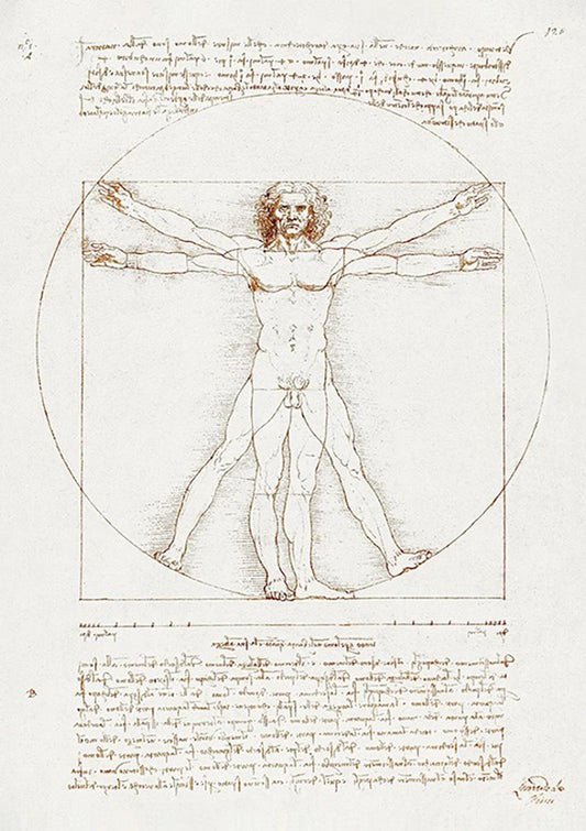 Da Vinci człowiek witruwiański obraz na płótnie w klasycznych odcieniach sepii