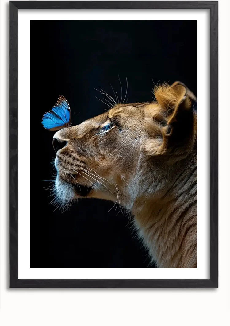 Leeuwin Blauwe Vlinder Neus Zwarte Achtergrond Majestueus Portret Schilderij