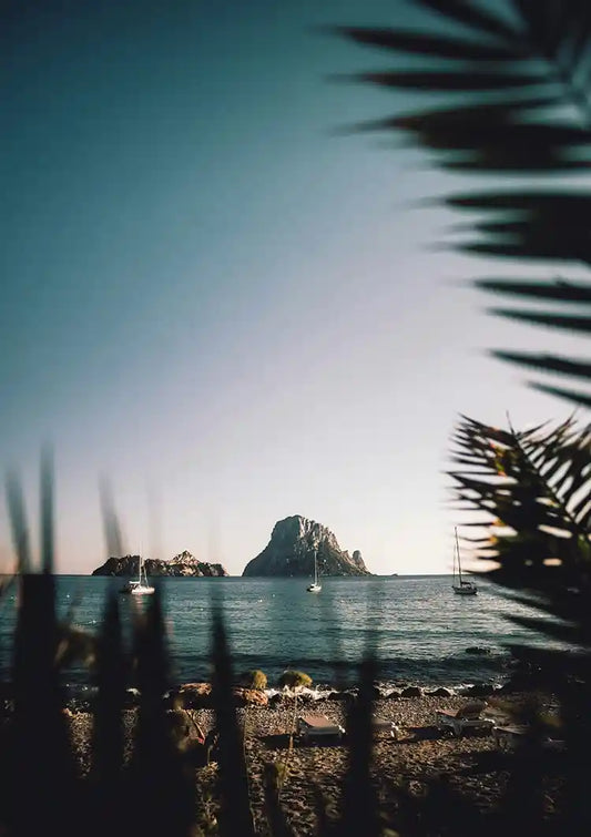 Rotseiland Zee Palmbladeren Analoge Film Kustlandschap Canvas Schilderij
