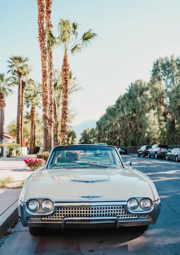 Weißes Vintage-Auto, Palmen, sonnige Straße, Retro-Gemälde
