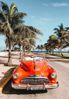 Rotes Vintage Auto bei Palmen Sommerliche Atmosphäre Gemälde