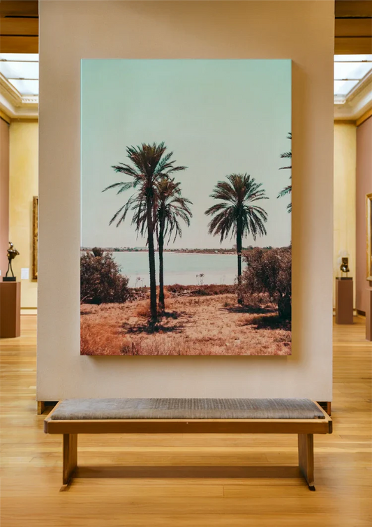 Twee Palmbomen Tegen Pastelblauwe Lucht Tropisch Zomer Canvas Schilderij