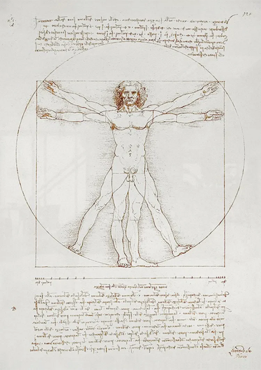 Da Vinci człowiek witruwiański obraz na płótnie nad łóżkiem w sypialni