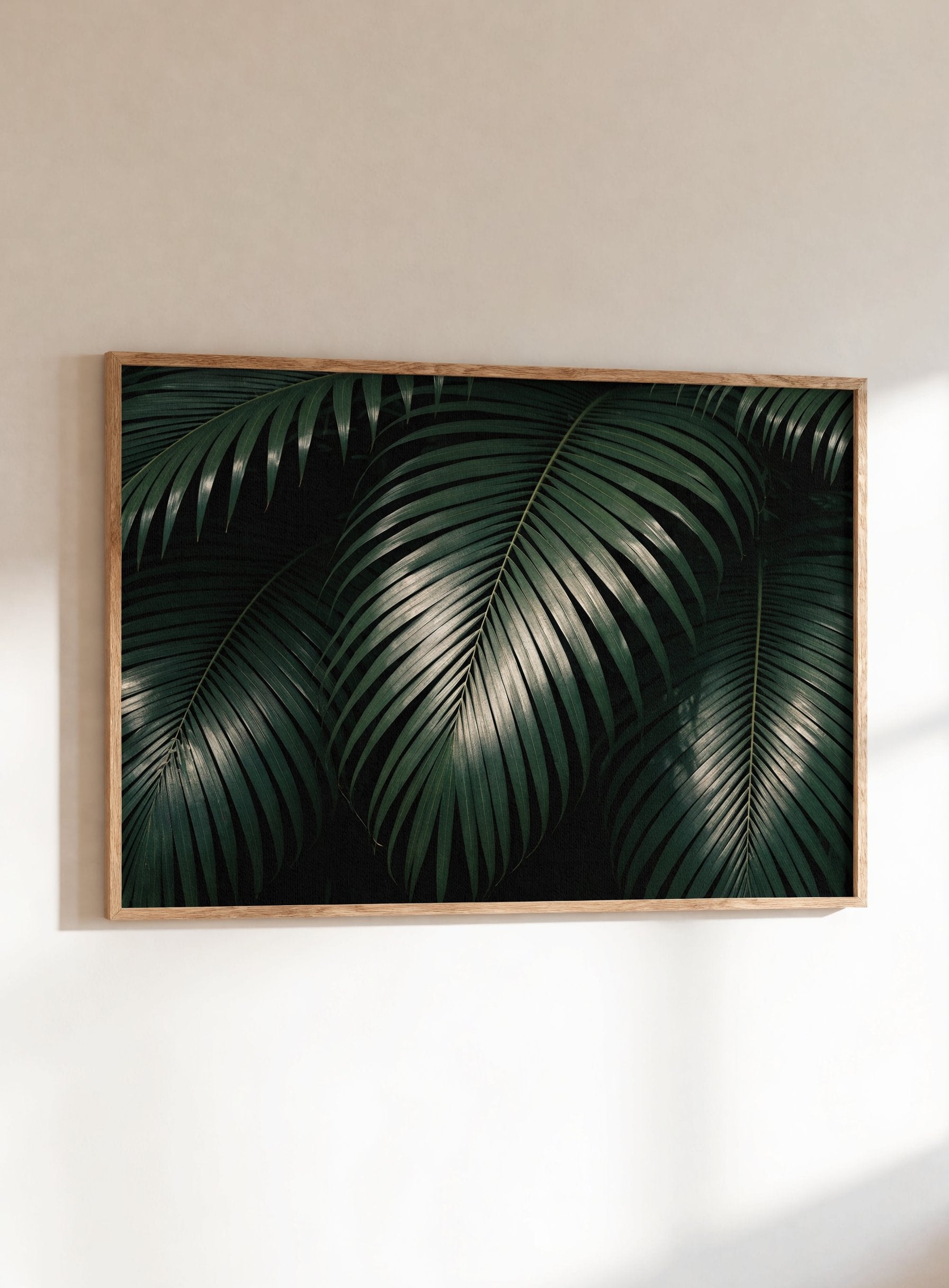 Tropisch & Palmbomen