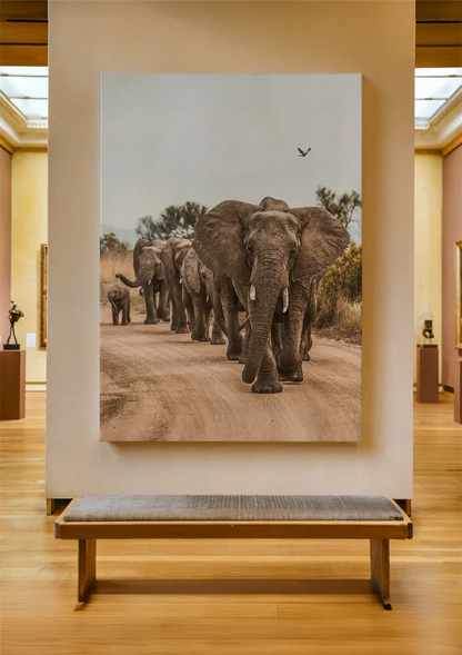 Kudde Olifanten Kalveren Zandpad Afrikaanse Natuur Schilderij