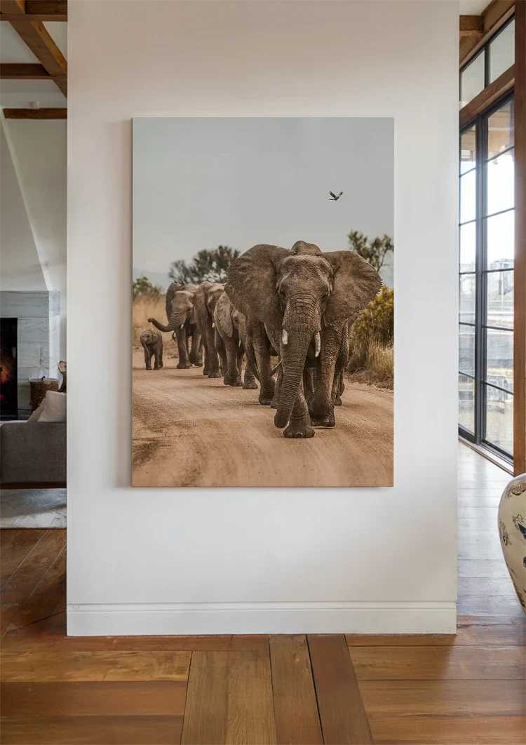 Kudde Olifanten Kalveren Zandpad Afrikaanse Natuur Schilderij
