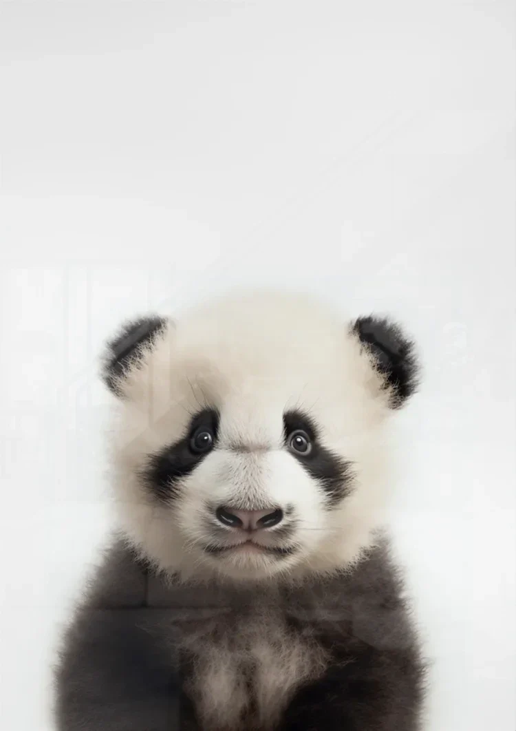 Niedlicher Pandabär Große Augen Schwarz-weißes Fell Spielerisches Porträt Gemälde