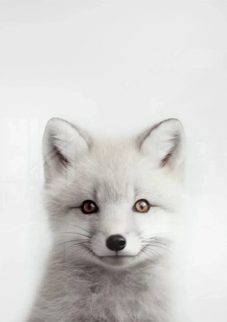 Weißer Fuchs Zwei Farbige Augen Weiches Fell Porträt Minimalistisches Gemälde
