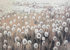 Veld Paardenbloemen Pluizig Dromerig Natuur Schilderij