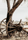 Old Wooden Wagon Wheel Tree Desert Vintage Rustic Painting