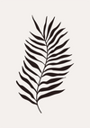 Zwart Palmblad Botanisch Minimalistisch Beige Achtergrond Schilderij