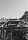 Klassischer Porsche Schwarz-Weiß Natur Feld Oldtimer Gemälde