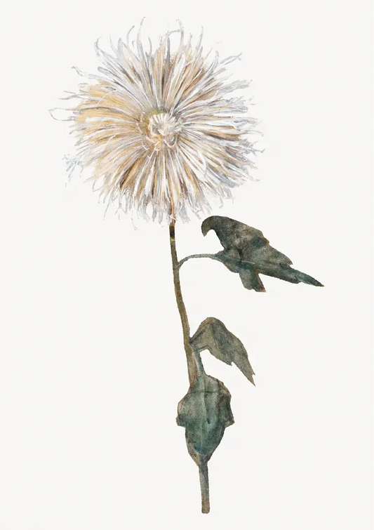 Botanische aquarelbloem canvas schilderij in crème en groen op een witte achtergrond