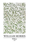 William Morris Willow Wilgentakken Groen Botanisch Klassiek Kunst Schilderij
