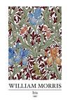 William Morris Iris Blaue Rote Iris Buntes Botanisches Muster Gemälde