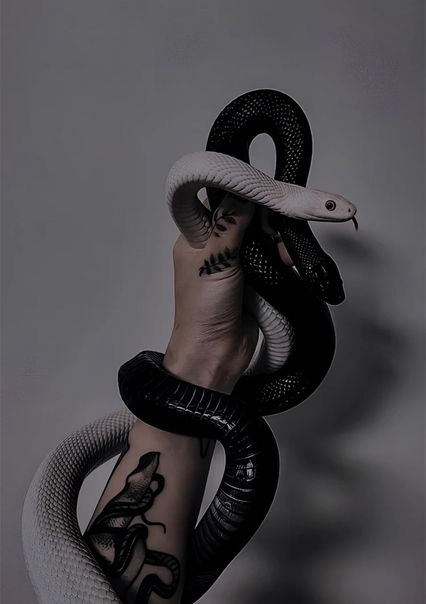 Schwarze Schlange Um Den Arm Tattoo Dunkles Dramatisches Gemälde