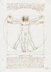 Leonardo Da Vinci Vitruviaanse Man Klassiek Anatomie Schets Schilderij