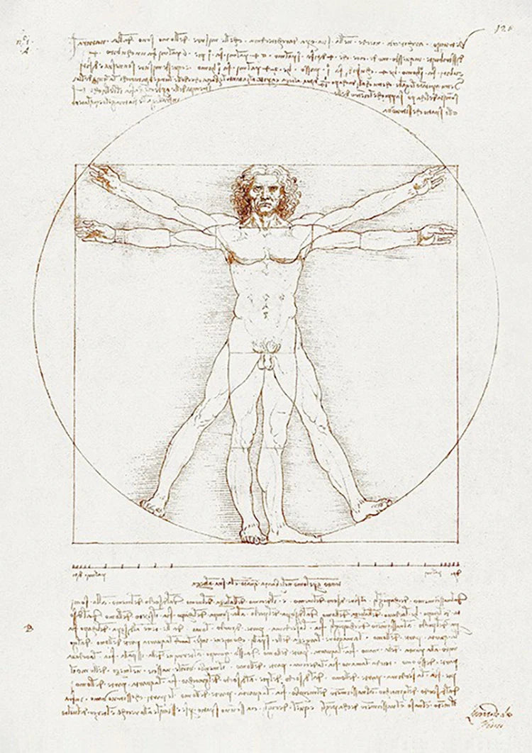 Leonardo Da Vinci Vitruviaanse Man Klassiek Anatomie Schets Schilderij