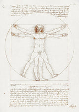 Leonardo Da Vinci Vitruviaanse Man Klassiek Anatomie Schets Canvas Schilderij