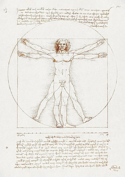 Leonardo Da Vinci Vitruviaanse Man Klassiek Anatomie Schets Schilderij