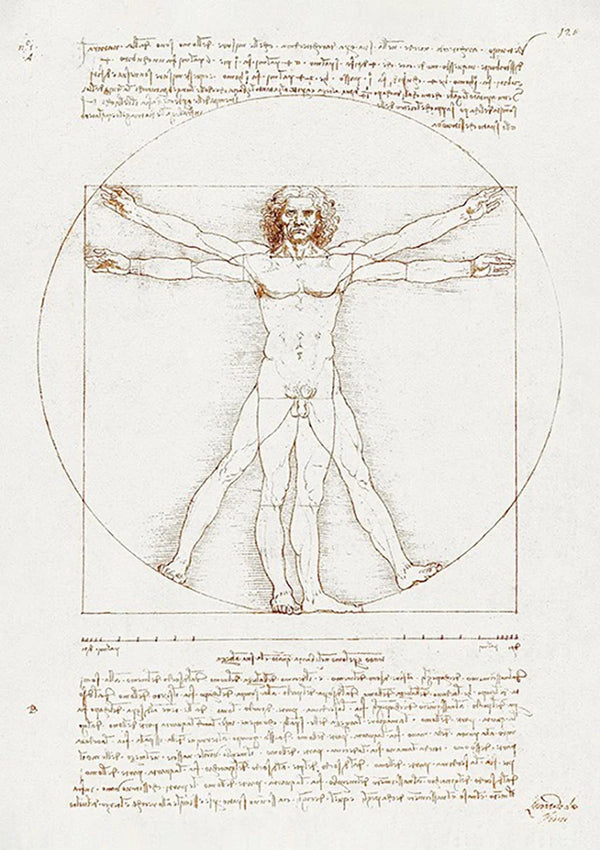 Leonardo Da Vinci Vitruviaanse Man Klassiek Anatomie Schets Schilderij