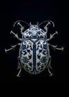 Delft Blue Porcelain Beetle Dark Background Painting