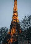 Illuminated Eiffel Tower Paris Golden Lights Blue Evening Sky Bare Trees Painting