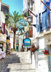 Mediterranean Alley White Facades Blue Shutters Palm Tree Sunny Painting