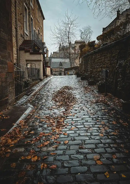 Cobblestone Alley with Autumn Leaves and Old Stone Buildings Canvas Print