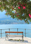 Lake Como Pink Blossom Tree Terrace Italian Landscape Painting