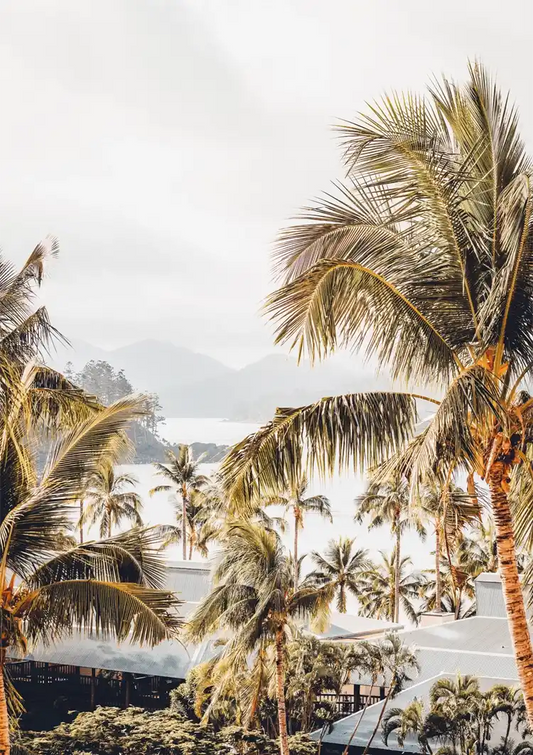 Tropische Palmen Sanfte Luft Natur Gemälde