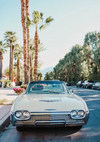 Weißes Vintage-Auto, Palmen, sonnige Straße, Retro-Gemälde