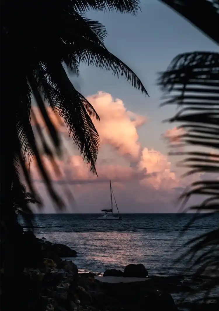 Zeilboot Zonsondergang Palmbomen Tropische Zee Schilderij