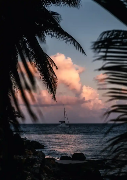 Zeilboot Zonsondergang Palmbomen Tropische Zee Schilderij