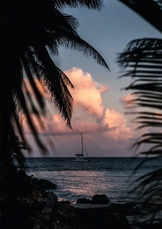Segelboot Sonnenuntergang Palmen Tropisches Meer Gemälde