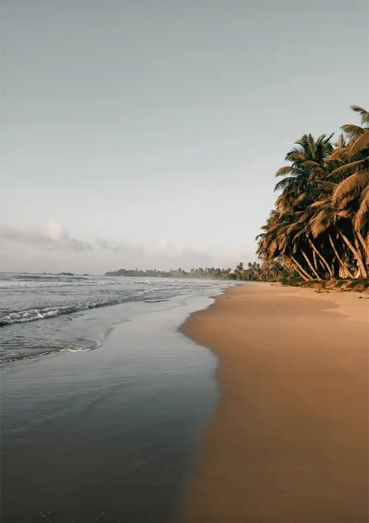 Rustig strand met palmbomen canvas schilderij in zacht beige en grijs, met een serene sfeer