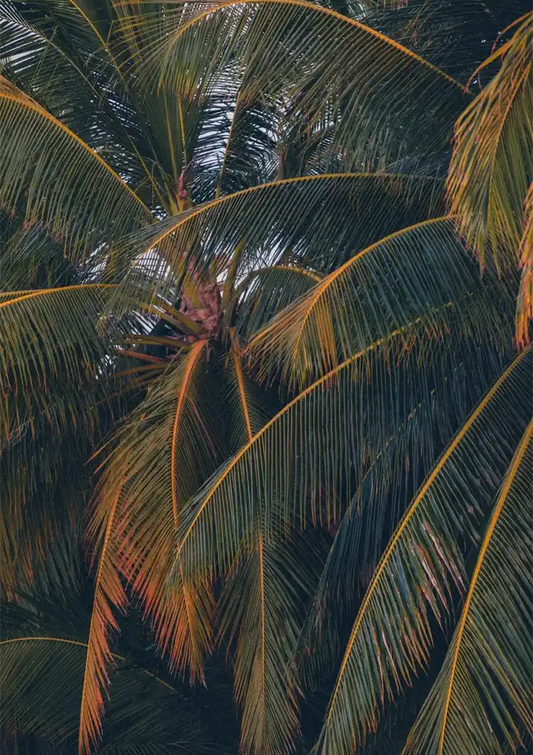 Palmbladeren canvas schilderij in donkergroen en bruin, met een rijke textuur