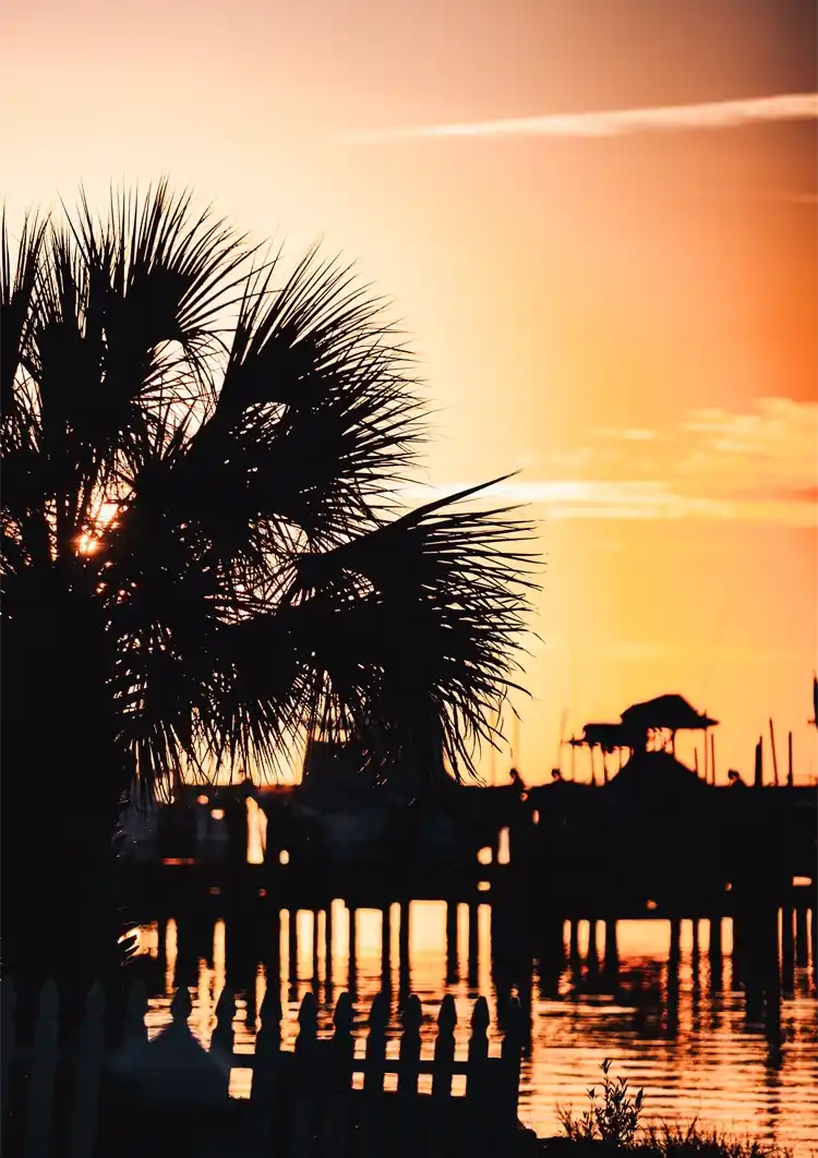 Palmboom Silhouet Gouden Zonsondergang Water Romantisch Schilderij