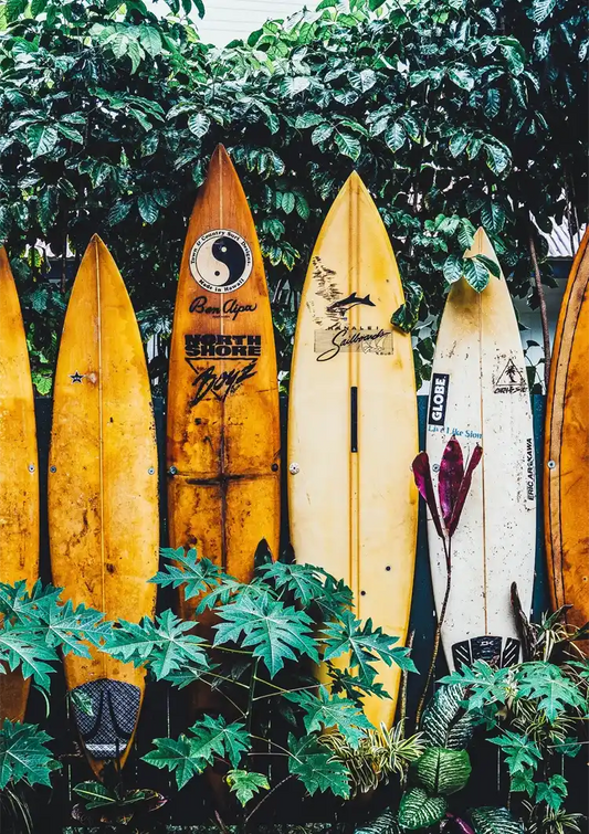 Surfbretter zwischen tropischem Grün sommerliche Atmosphäre Gemälde