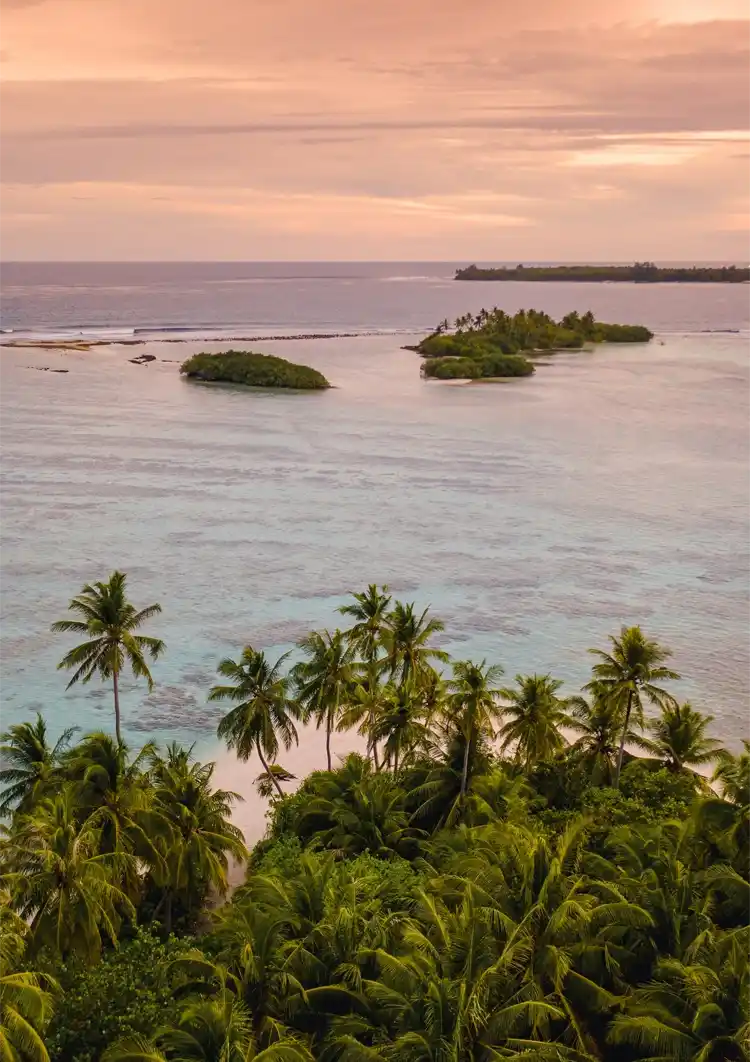 Tropical View With Palm Trees And Islands At Dusk Painting