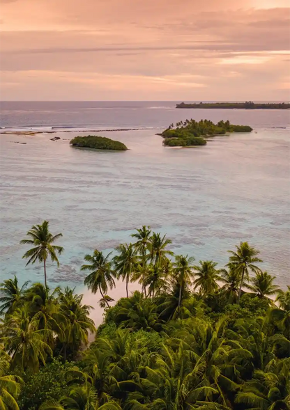 Tropical View With Palm Trees And Islands At Dusk Painting