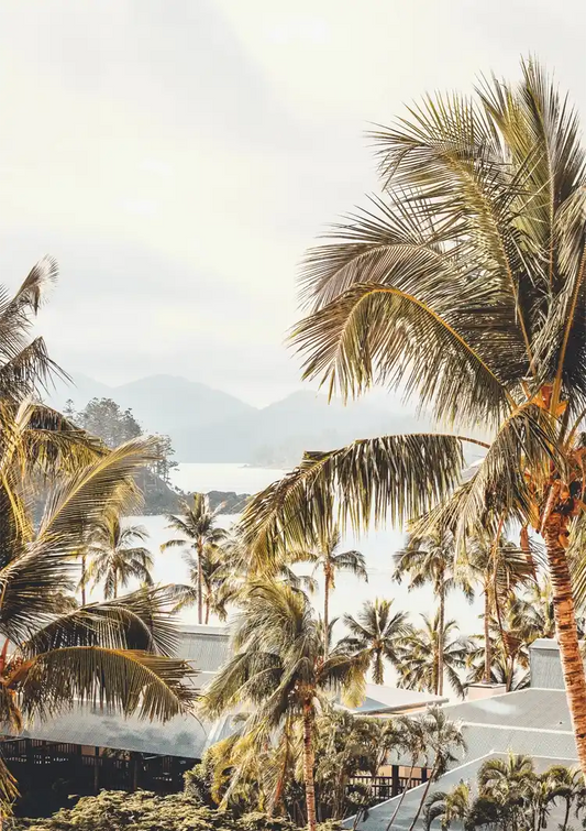 Tropische Palmen Berge in der Ferne Landschaft Gemälde