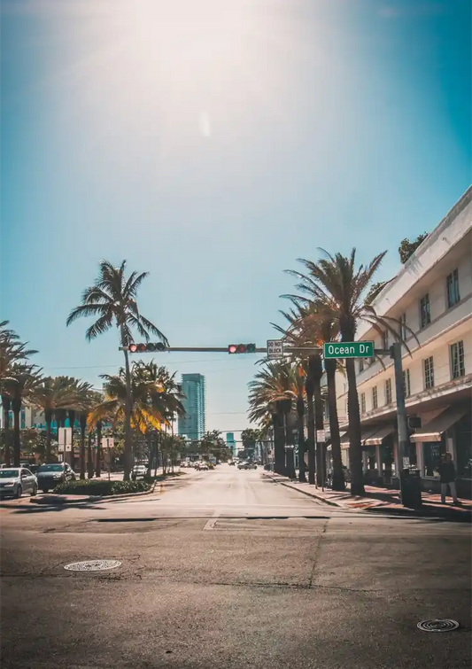 Stiller Boulevard Palmen Ampeln Sonnige Straße Gemälde