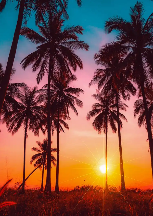 Miami Vice Palm Trees Colorful Tropical Sunset Silhouette Painting