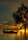 Thai Landscape Golden Sunset Boat Tree Silhouette Water Painting