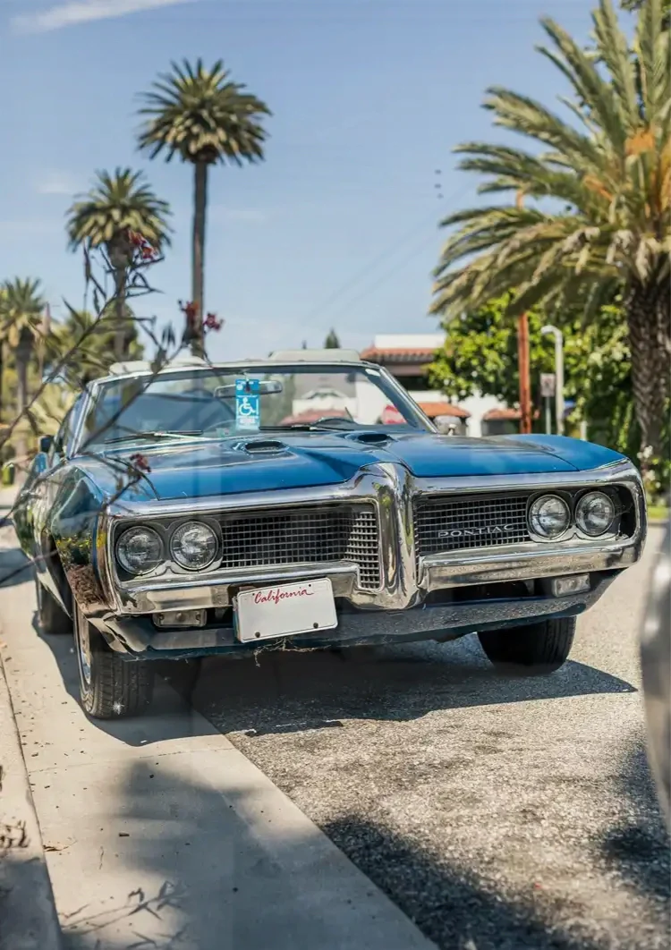 Vintage Pontiac Palmbomen Zonnige Straat California Schilderij