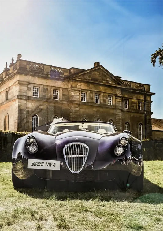 Purple sports car canvas painting above the bed in the bedroom