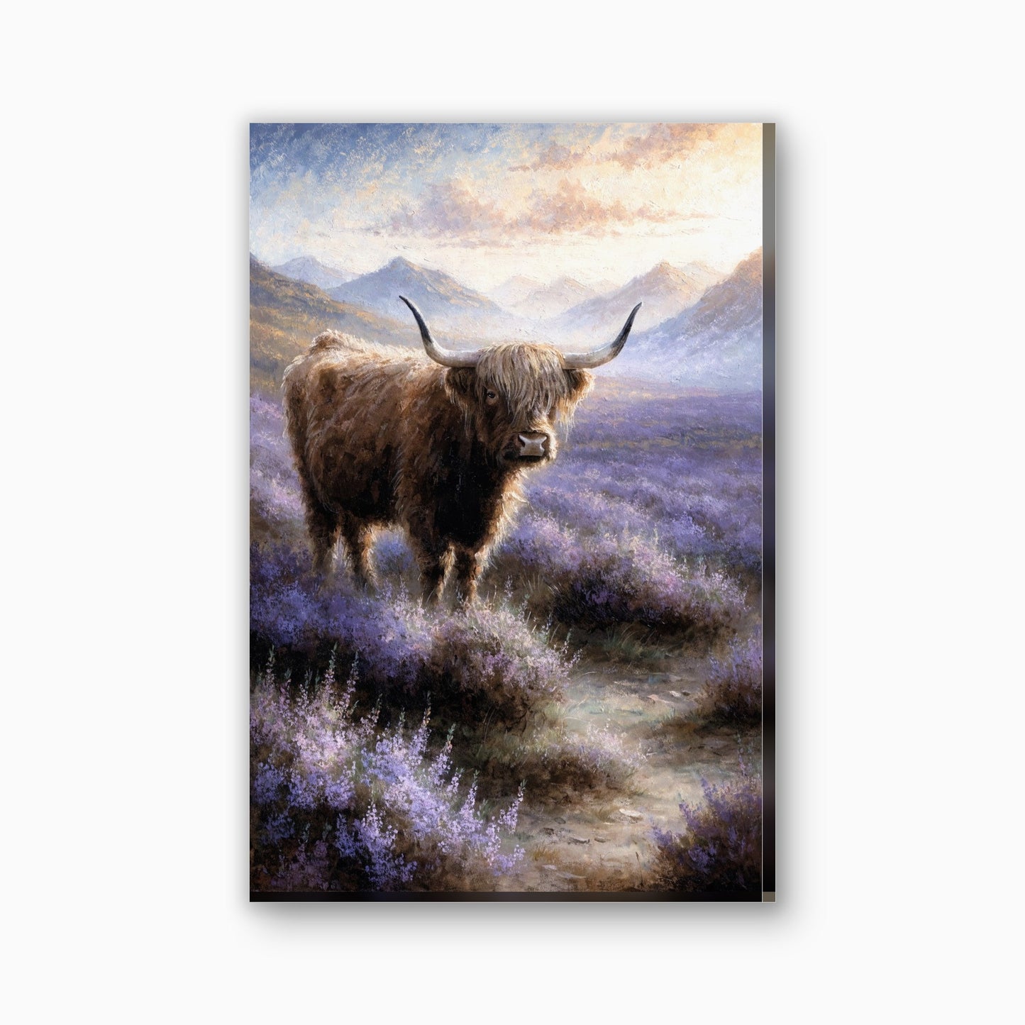 Hooglander in de heide canvas schilderij in paars en goudgeel